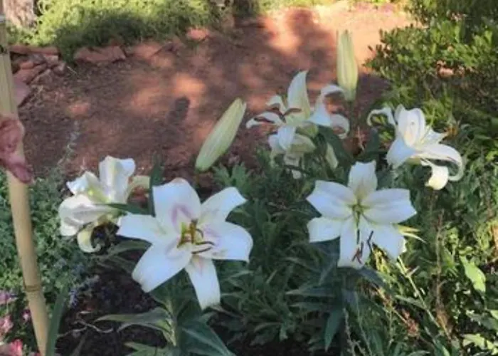 Hébergement de vacances Red Rock Escape - Cozy King Bed & Gardens, Trails, Views, Red Rock Pass Sedona