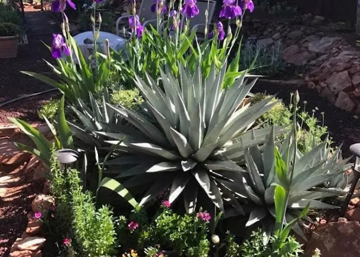Red Rock Escape - Cozy King Bed & Gardens, Trails, Views, Red Rock Pass *